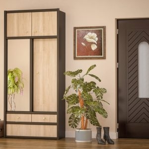 Передпокій «Каріна»