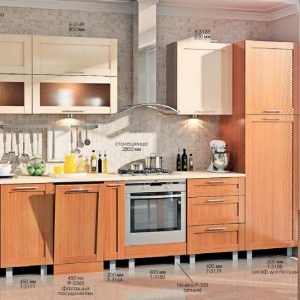 Кухня «Престиж» КХ-423