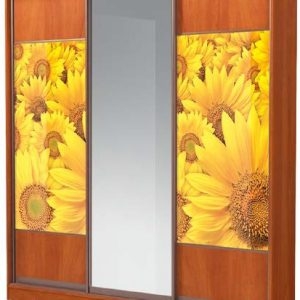 Шафа-Купе 210 №1