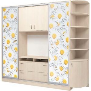 Шафа-Купе «Кіноман» №3